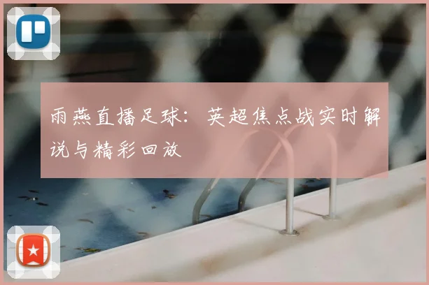 雨燕直播足球：英超焦点战实时解说与精彩回放