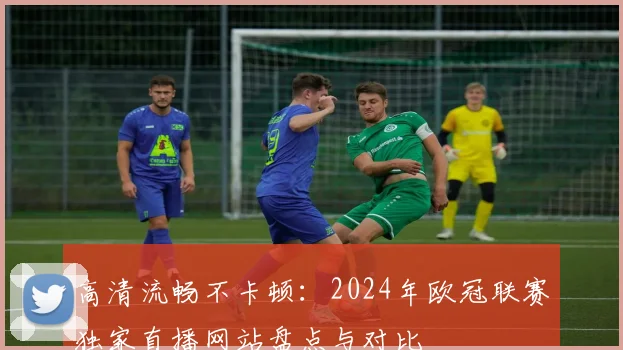 高清流畅不卡顿：2024年欧冠联赛独家直播网站盘点与对比